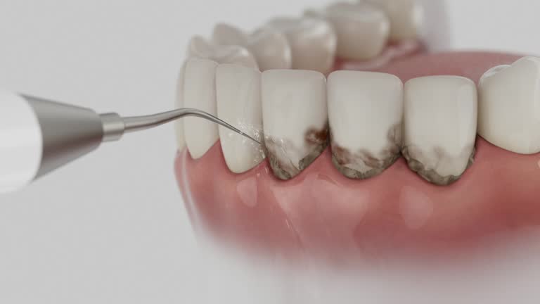 Reliable Dental contractor in Winona, MS by Dentist Open Now
